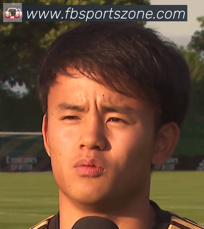 维尼修斯